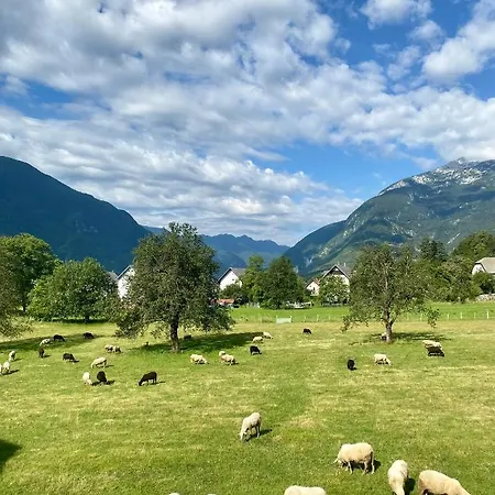 Διαμέρισμα Apartma Stres