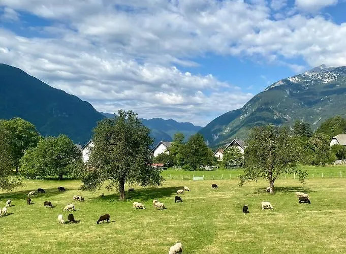 Apartman Apartma Stres